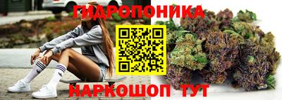 тгк Обь