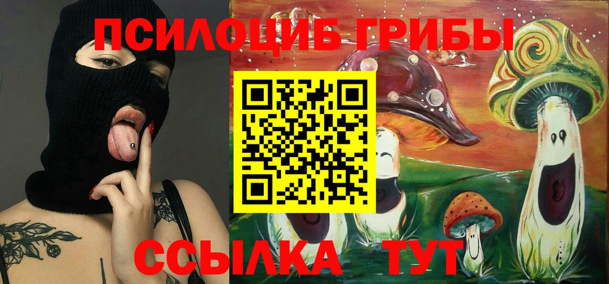 Псилоцибиновые грибы мухоморы Балашиха