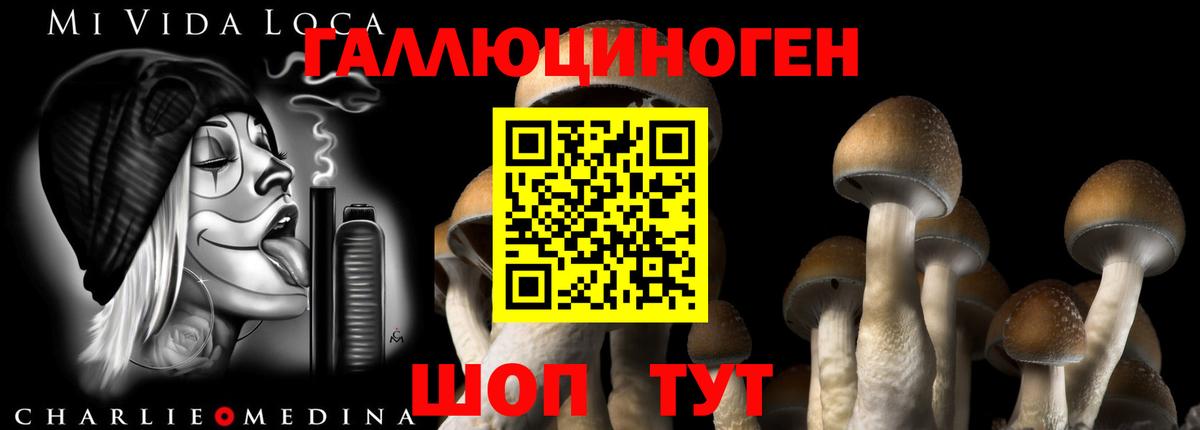 Балашиха  Галлюциногенные грибы ЛСД  Вход с VPN  Псилоцибиновые грибы Magic Shrooms 